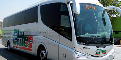 autobuses elite