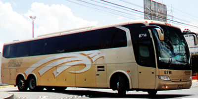 sendor-autobuses
