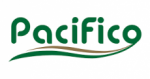 logotipo autobuses pacifico